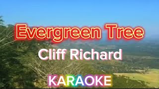 Evergreen Tree - Cliff Richard (karaoke)