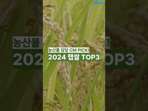 ���۳��� 2024 ö�� ����� ���� 10kg