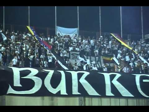 "ZAMORA vs yaracuyanos 8vos d copa Venezuela.. LA HINCHADA DEL BLANKINEGRO" Barra: La Burra Brava &bull; Club: Zamora