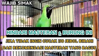 Download lagu HINDARI MASTERAN BURUNG INI UNTUK CUCAK IJO ANDA ATAU BISA FATAL mp3 Download lagu HINDARI MASTERAN BURUNG INI UNTUK CUCAK IJO ANDA ATAU BISA FATAL mp3