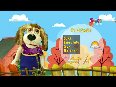 "Hava necə olacaq?" - 31 oktyabr 2024-cü il
