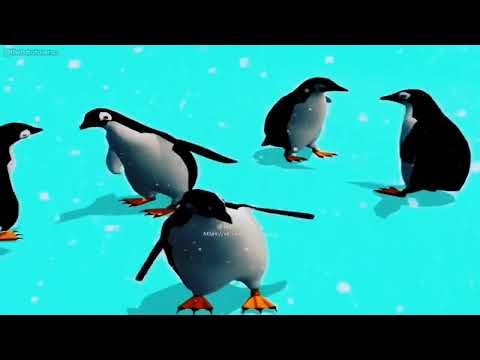 PLUG🔌🔌 pinguins dançando melodia envolvente vai no toma toma (remix by jordan)