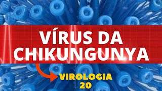 VIRUS DA CHIKUNGUNYA - VIROLOGIA - AULA 20