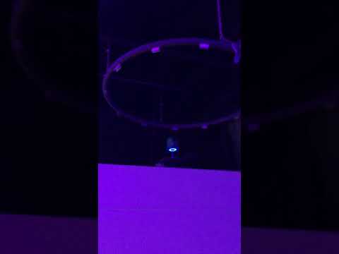 Bbot robot drink delivery (full length)