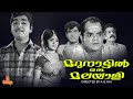 Marunnattil Oru Malayali Prem Nazir Vijayasree Adoor Bhasi Prameela Full Movie