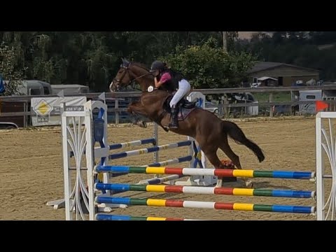 Malu (12) und Zappa - das erste Turnier! A** mit steigenden Anforderungen in Villmar am 21.08.2021