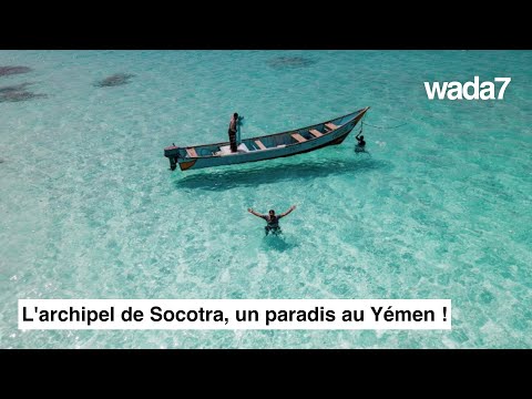 L'archipel de Socotra, un paradis au Yémen ! 🇾🇪🌊🌸