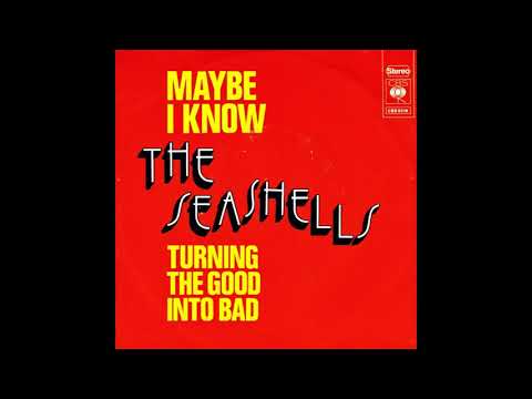 MAYBE I KNOW THE SEASHELLS DES