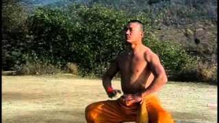 Shaolin warrior training – The Secret to Kung Fu