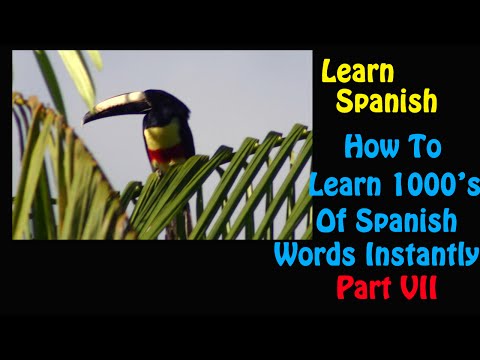 Learn Spanish- How to Learn 1000's of Spanish Words Instantly – Part VII