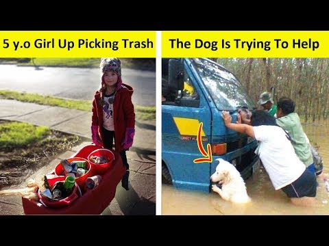 Wholesome Photos That Will Make Your Day Better 😍 Video