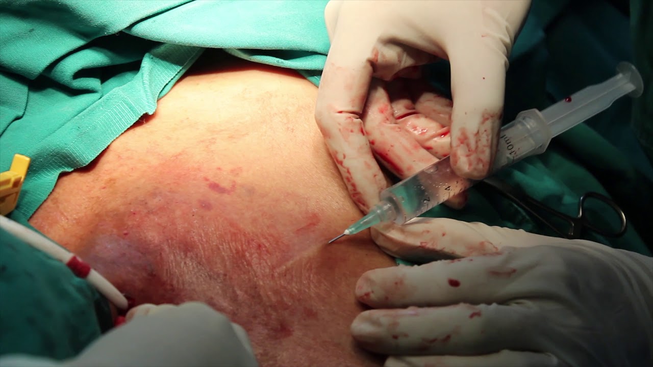 Cindy Vásquez Marzano-31