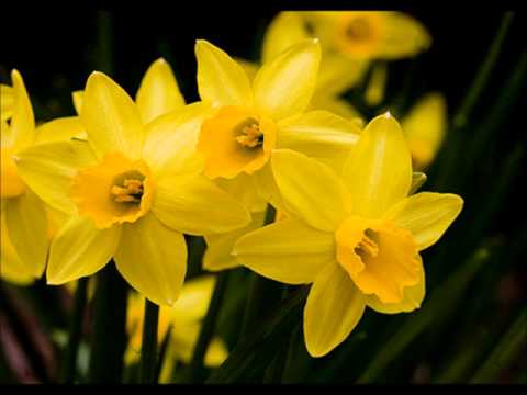 Whisky trail - Dargai Highlanders