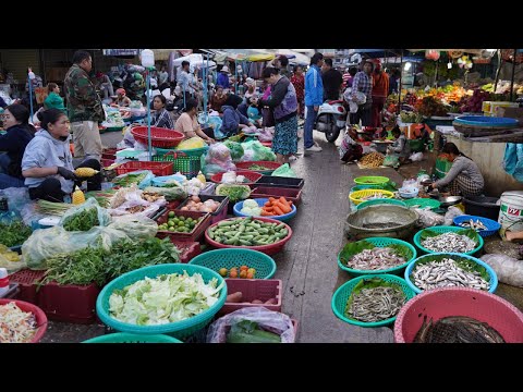 Plenty Alive Fish, Seafood & More Food In Market - Best Food Selling In Market On The Morning