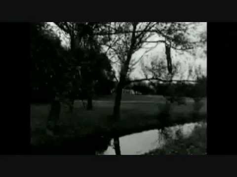 Gloria Unit - Back in the Sun