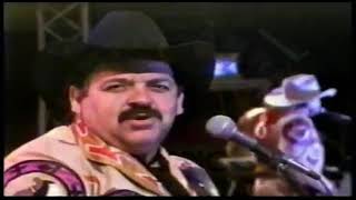 la potranquita BRONCO