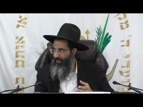 הלכות תלמיד חכם - ג' - ביזוי תלמיד חכם | יורה דעה - סימן רמג | חלק 305 | הרב שי עובד