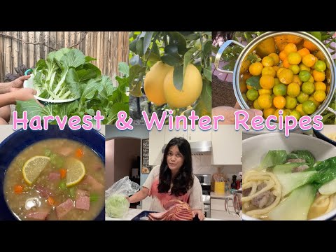 Backyard Edible Garden Harvest and Soup Recipes | Cooking at Home