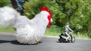 Video 3 trigger image