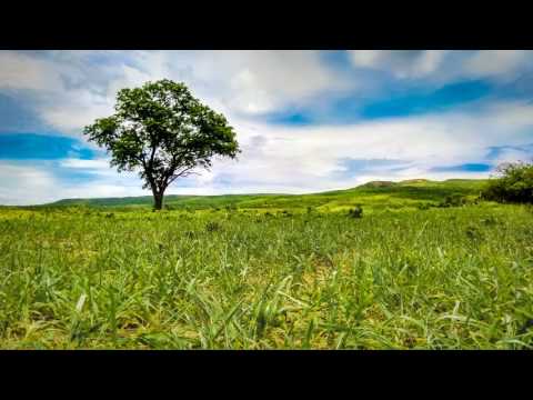 Odcinek o chlebie i winie