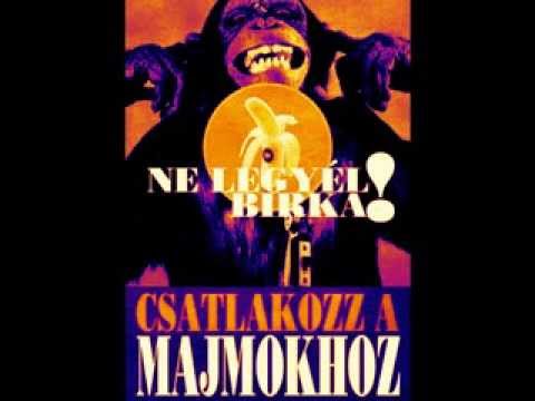 Rawmatik km. Zéessó-Mondelnekem