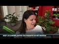 Rijnmond Nieuws - 1 augustus 2019
