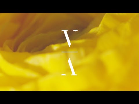 Huminal - Starlight Folly