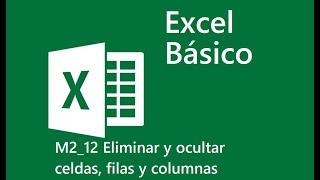 12 Eliminar y ocultar celdas, filas y columnas