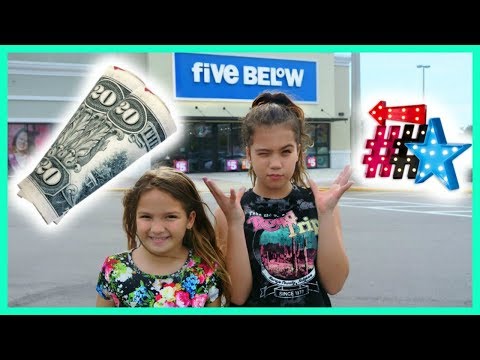 $20 DOLLAR FIVE BELOW SHOPPING 🛒 CHALLENGE "SISTER FOREVER" Video