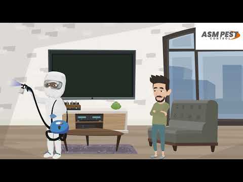 Videos from ASM Pest Control