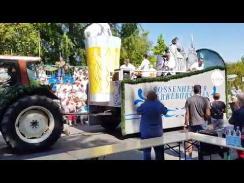 Festwochenende 800 Jahre Sossenheim – Festumzug II