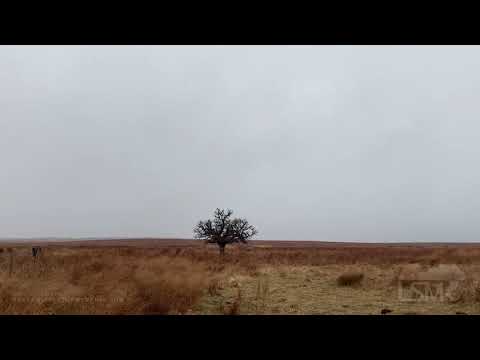 12-13-2020 Bowie, Texas - Light Snowfall