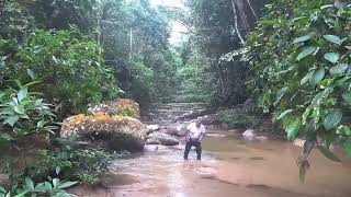 preview picture of video 'ulu licin, beruas, Perak (10 mei 2018)'