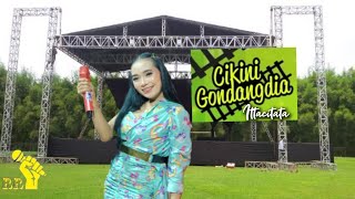 Download lagu CIKINI || Itta Citata || (Cover) || Transera Band mp3 Download lagu CIKINI || Itta Citata || (Cover) || Transera Band mp3