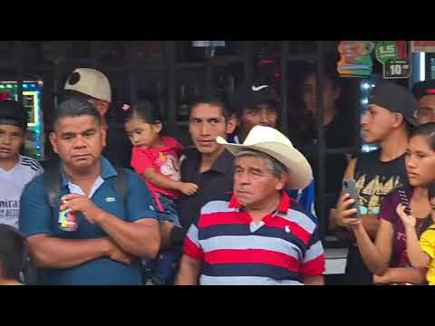 En vivo Desde San Marcos Palajunoj el Palmar Quetzaltenango Ameniza Nicho Y Sus Cachorros 