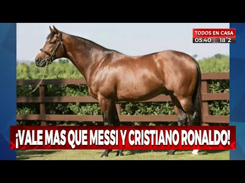 , title : 'Galileo, el caballo más caro del mundo'