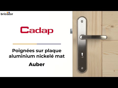 Poignées de porte sur grandes plaques - aluminium - Auber CADAP