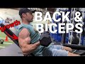 BACK BICEPS WORKOUT ️ Buff Dudes Home Gym Plan Stage 4 Day 5