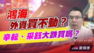 鴻海外資買不動？辛耘、采鈺大跌買嗎？｜台股攻略｜劉烱德 (圖)