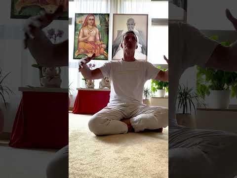 Wie du dich energetisch schützen kannst - 5 Techniken / Frag einen Meister / Yoga Vidya