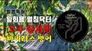 고추 탄저병 칼라병 바이러스 예방 멀칭닥터 일회용