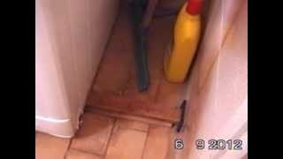 מכונת כביסה המטיילת באמבטיה (ידידנו היקר משה רצון ז"ל) - התמונה מוצגת ישירות מתוך אתר האינטרנט יוטיוב. זכויות היוצרים בתמונה שייכות ליוצרה. קישור קרדיט למקור התוכן נמצא בתוך דף הסרטון