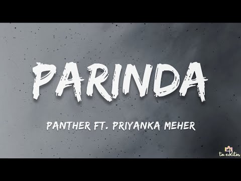 Panther - Parinda (Lyrics) Ft. Priyanka Meher | Flying Towards The City (Mixtape)