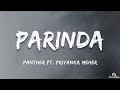 Panther Parinda Lyrics Ft Priyanka Meher Flying Towards The City Mixtape