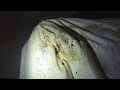 Mattress, Bed Sheets, and Baseboards Infested with Bed Bugs in Jamesburg, NJ