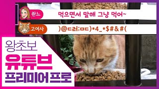 👍카툰형 대화형 자막바 만들기 [왕초보 유튜브 프리미어 프로] 레거시 타이틀, Legacy Title in Premiere pro