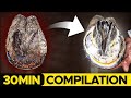 30 Minute Hoof Trimming Compilation The Best Cuts