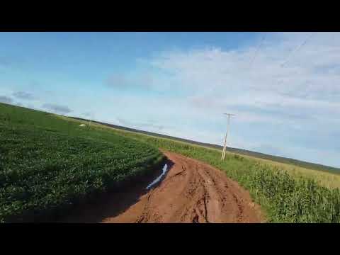 Visitando a Cidade de São Raimundo do Doca Bezerra, FAZENDA MOROPOIA, Referencia no Agronegócio 