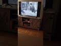 Leave It To Beaver Theme Song