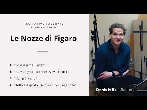 Denis Milo - Figaro 2020 - Le nozze di Figaro - Royal Opera Stockholm